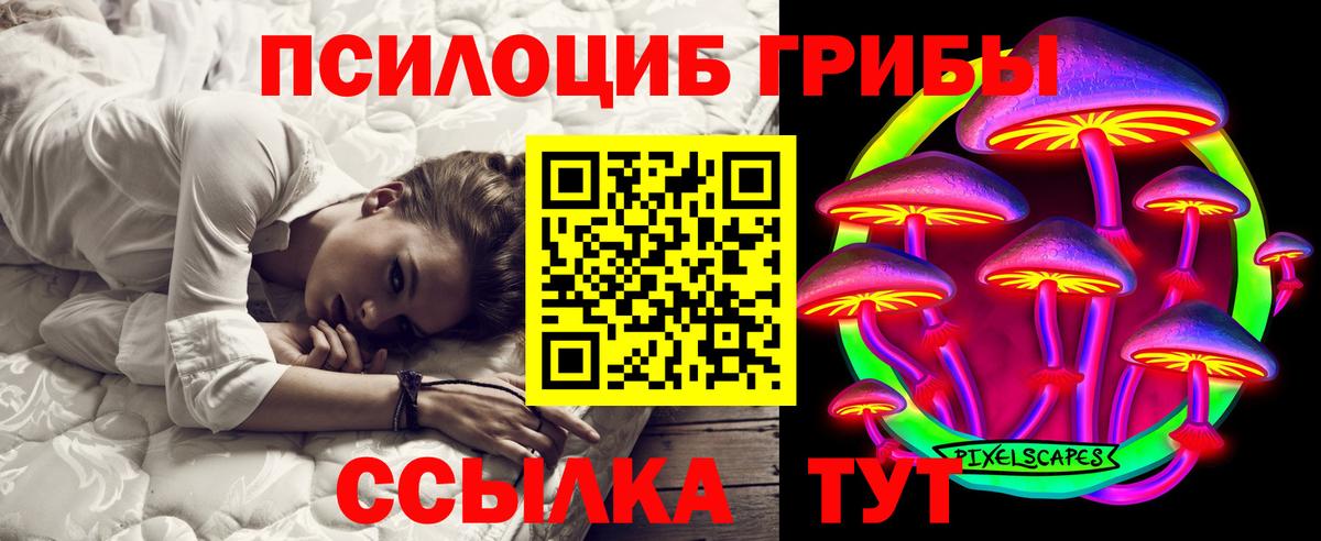 сколько стоит  Псилоцибиновые грибы GOLDEN TEACHER  Вход с VPN  Троицк 