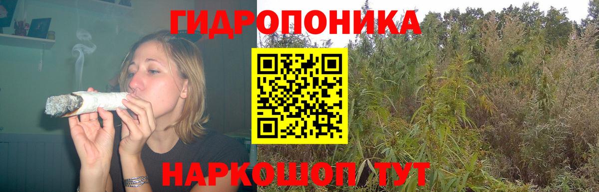 Шишки марихуана Amnesia Троицк